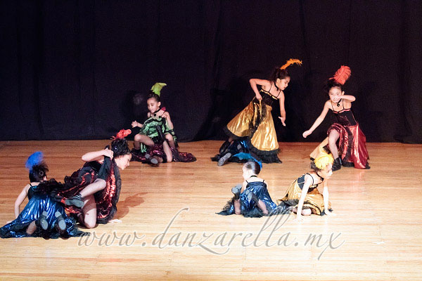 Danzarella 082
